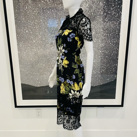 🔥 HP 🔥 Erdem Keni Floral Lace And Cady Dress - Picture 4 of 14
